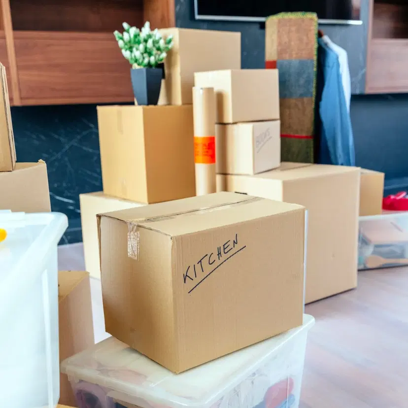 Move-In / Move-Out Support